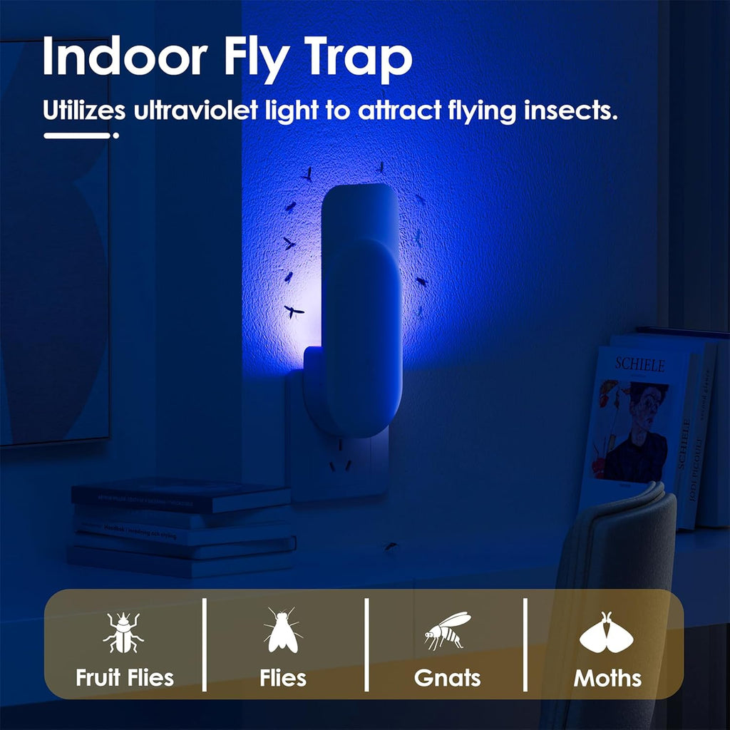 Easy Fly Trap for Home