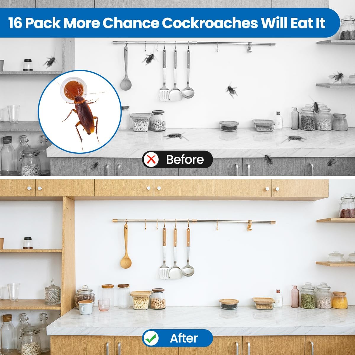 Easy Roach Control Kit